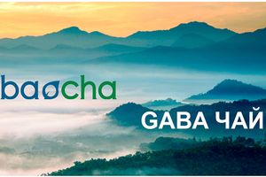 Gaba чаї від ТМ Baocha у всьому своєму різноманітті